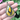SUMMER GEMSTONE 2026 Bumble Bee Jasper Teardrop Pendant Attachment