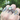 SUMMER GEMSTONE 2026 Small Round Opal Maille Band Ring: Size Various