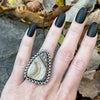 GEMSTONE Triangular Petrified Wood Ring: Size 7