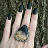 GEMSTONE Large Triangular Petrified Palm Root Ring: Size 9.5