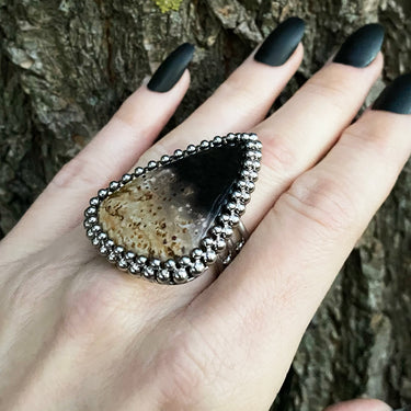GEMSTONE Large Triangular Petrified Palm Root Ring: Size 9.5